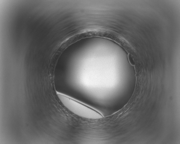 X0000070830822200606160939