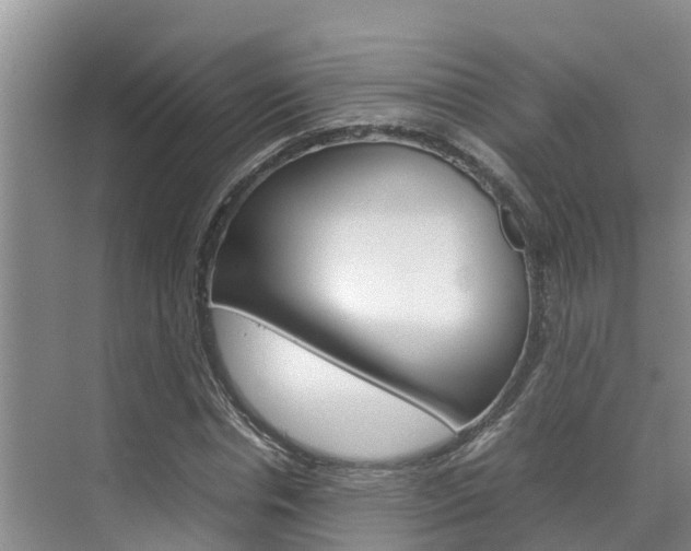 X0000070830826200606160939