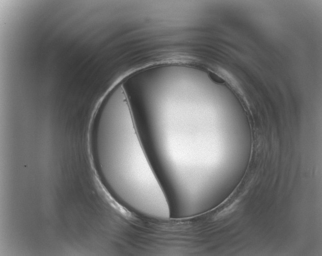 X0000070830843200606160939