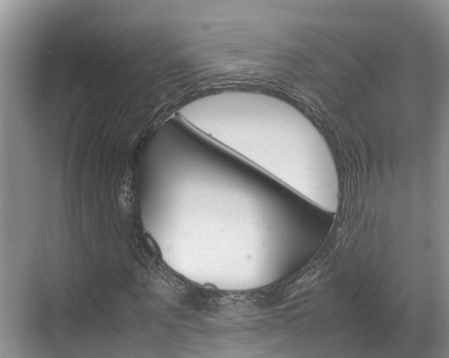 X0000070830867200606160939
