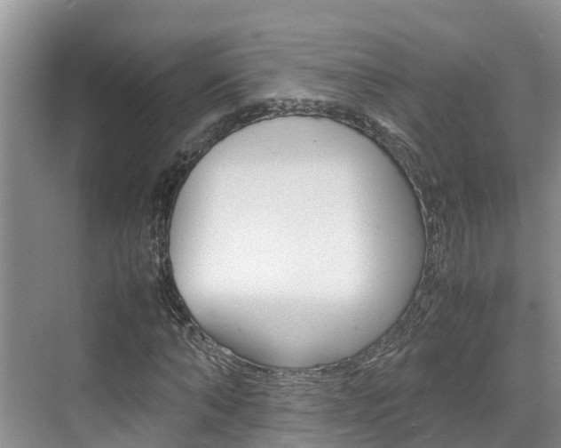 X0000070830870200606160939