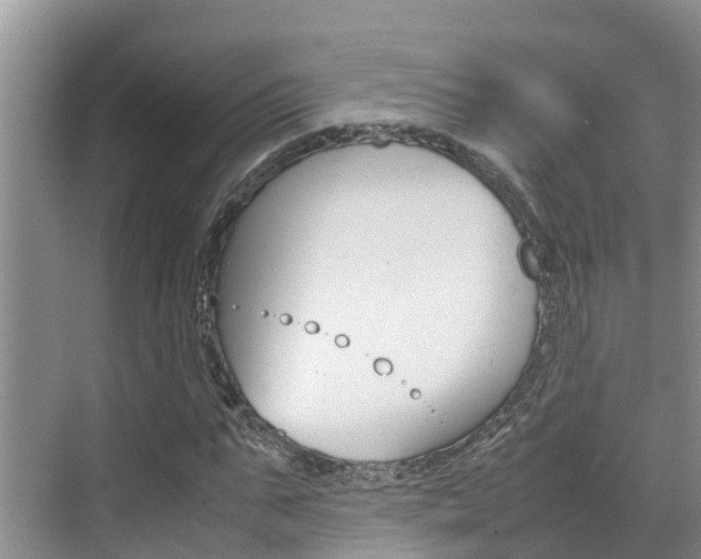 X0000070830871200606160939