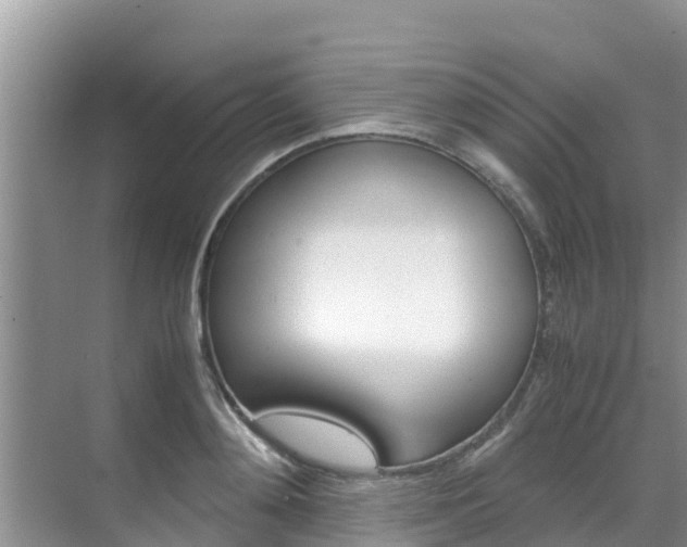 X0000070830892200606160938