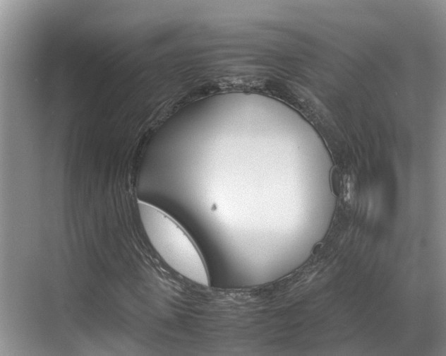 X0000070830915200606160937