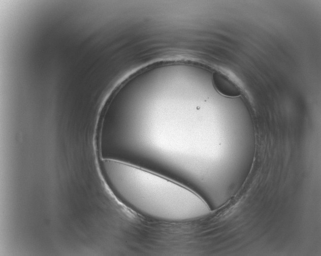 X0000070830943200606160938