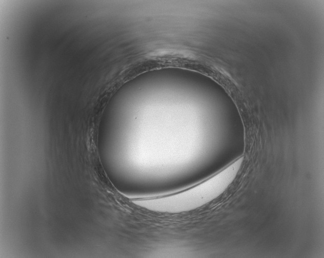 X0000070830965200606160937