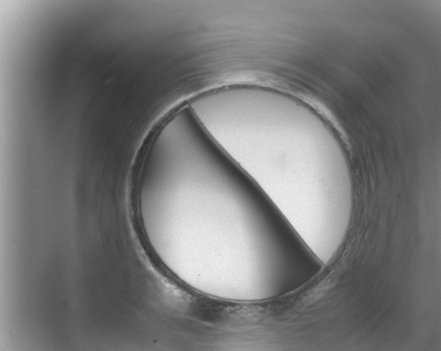 X0000070830991200606160937