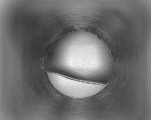 X0000070831012200606160936