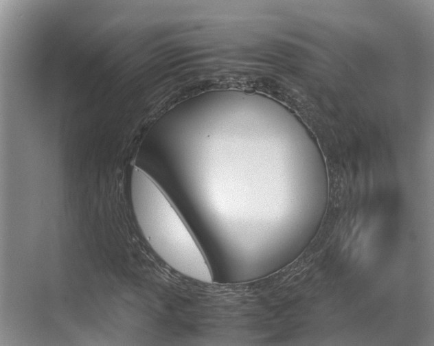 X0000070831013200606160936