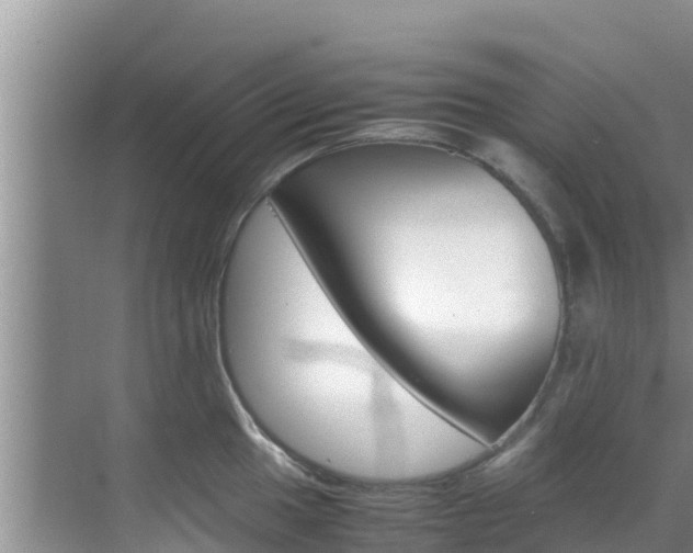 X0000070831049200606160936