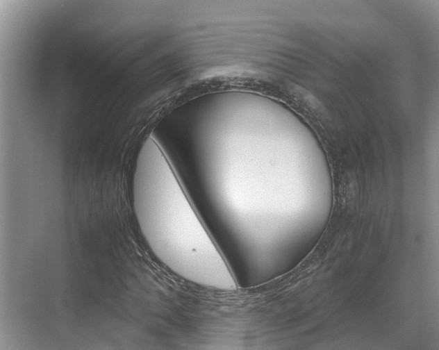 X0000070831062200606160936