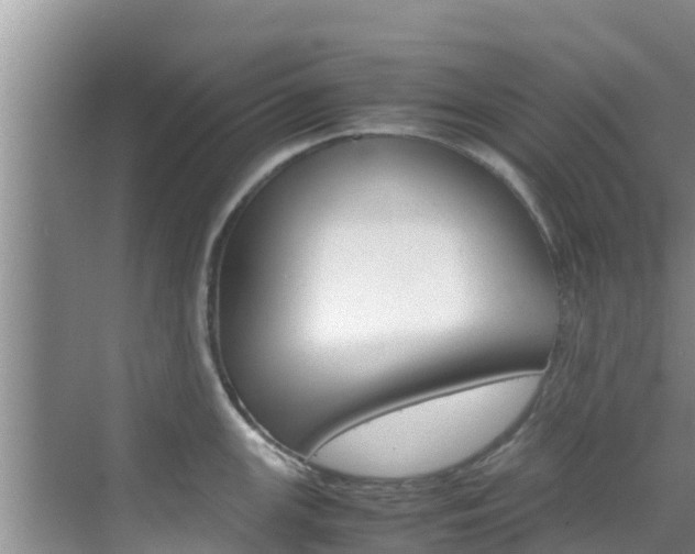 X0000070831147200606160935