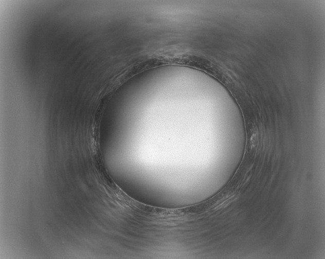 X0000070831156200606160934