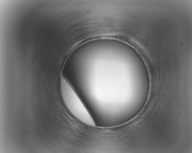 X0000070831169200606160934