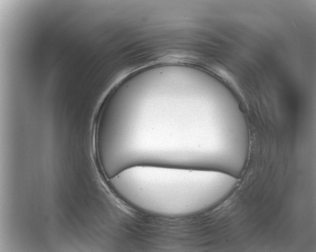 X0000070831227200606160933