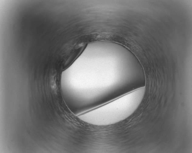 X0000070831250200606160932