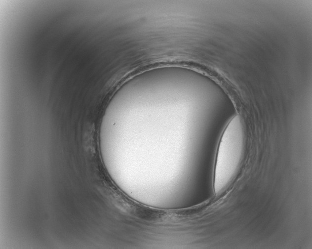 X0000070831265200606160932