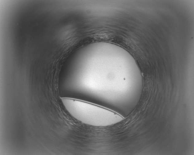 X0000070831297200606160931