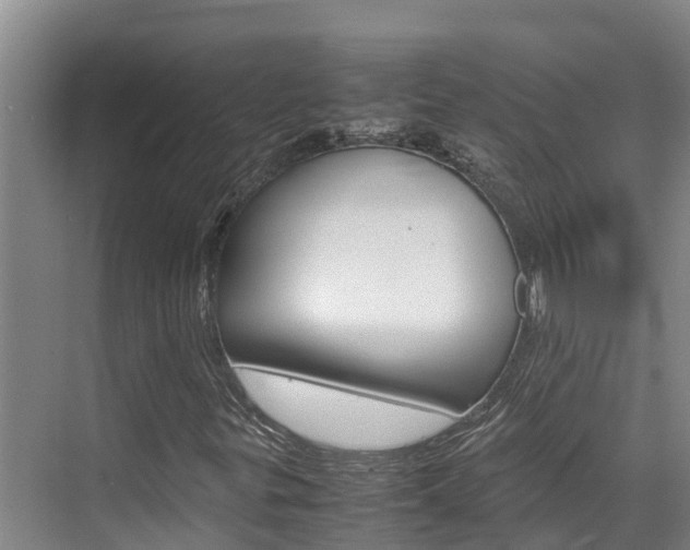 X0000070831299200606160931