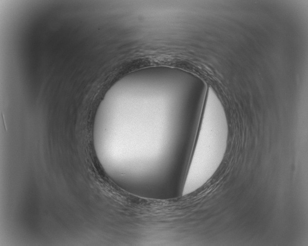 X0000070831345200606160931