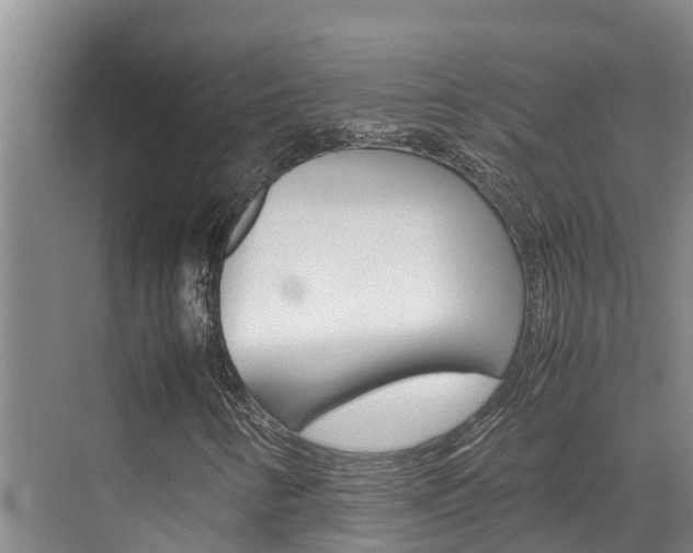 X0000070831346200606160931
