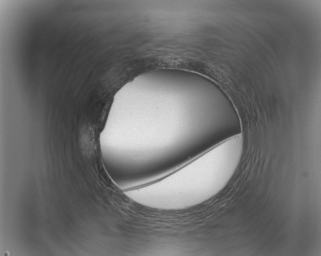 X0000070831347200606160931