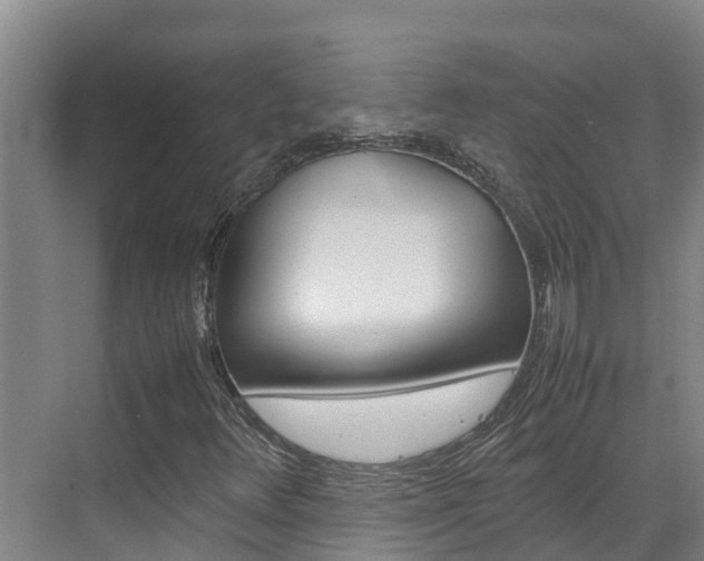 X0000070831348200606160931
