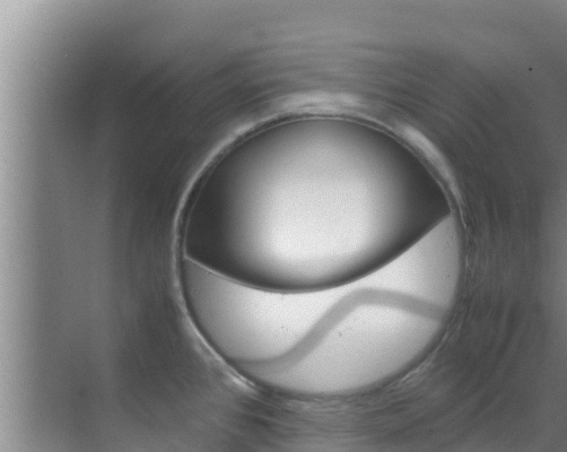 X0000070831384200606160930