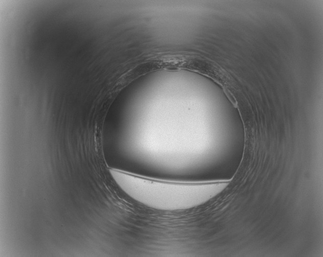 X0000070831394200606160929
