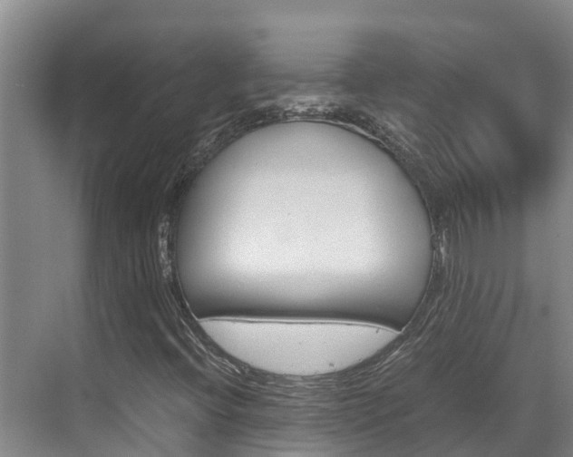 X0000070831396200606160929