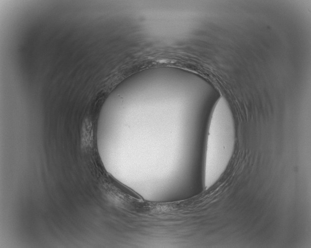 X0000070831443200606160929