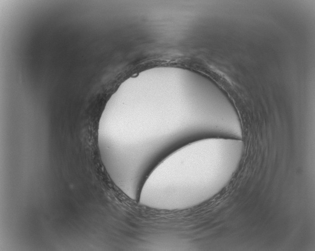 X0000070831447200606160929