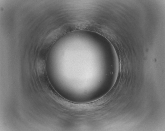X0000070830034200606161114