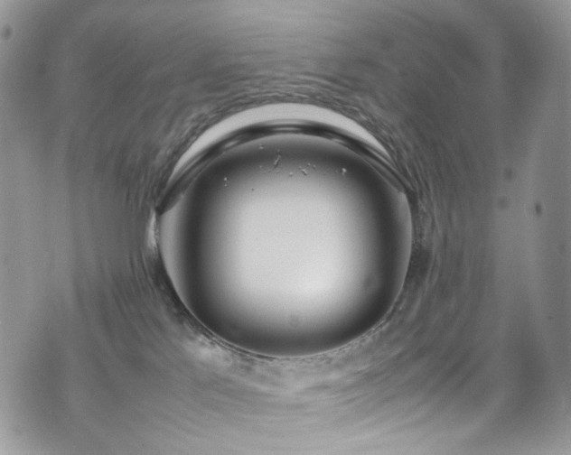 X0000070830041200606161114