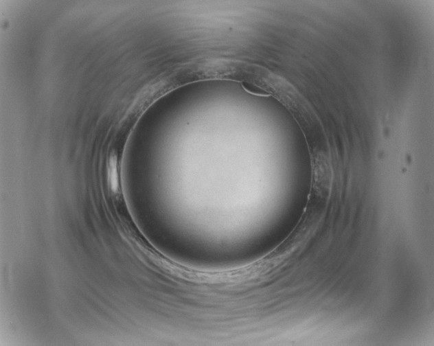 X0000070830046200606161114