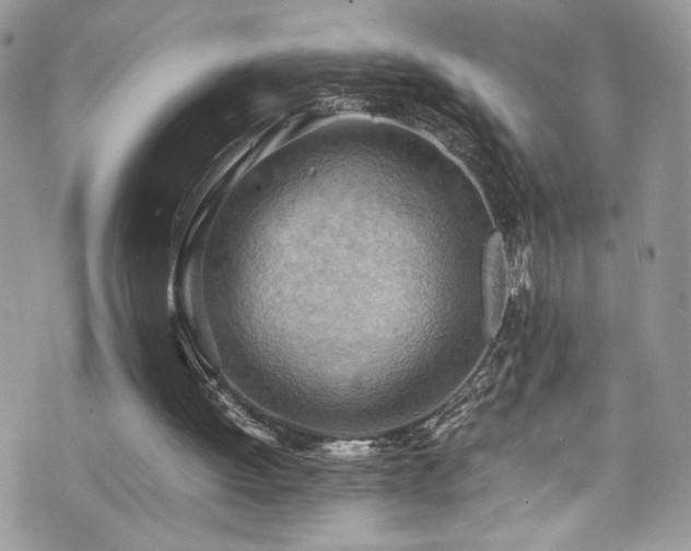 X0000070830052200606161113