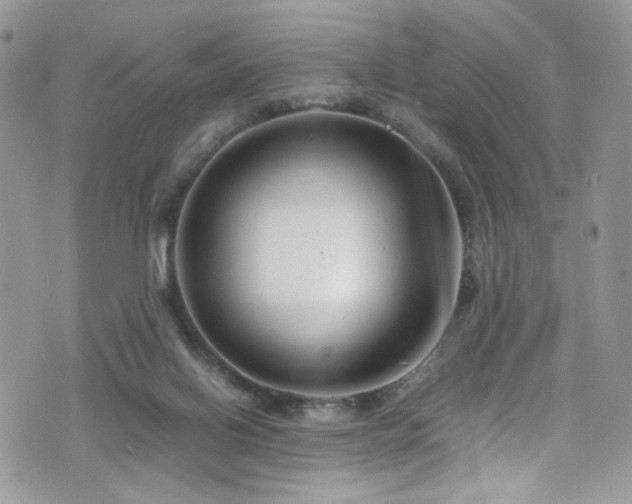 X0000070830070200606161114