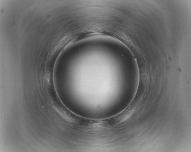 X0000070830072200606161114