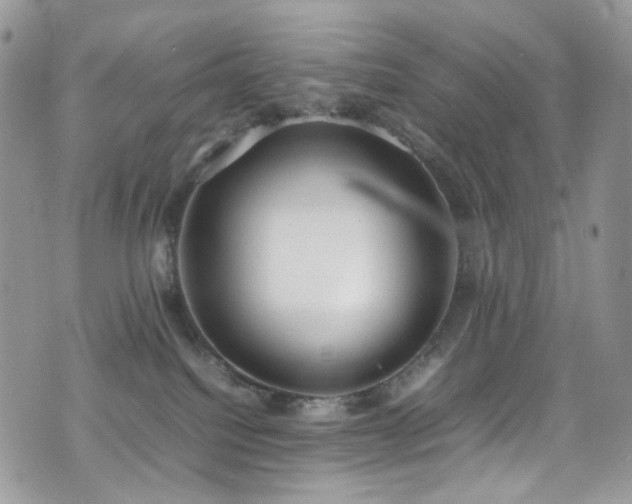 X0000070830088200606161114