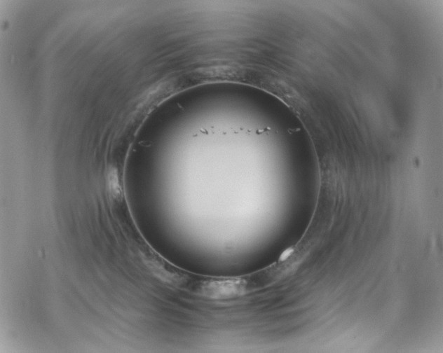 X0000070830089200606161114