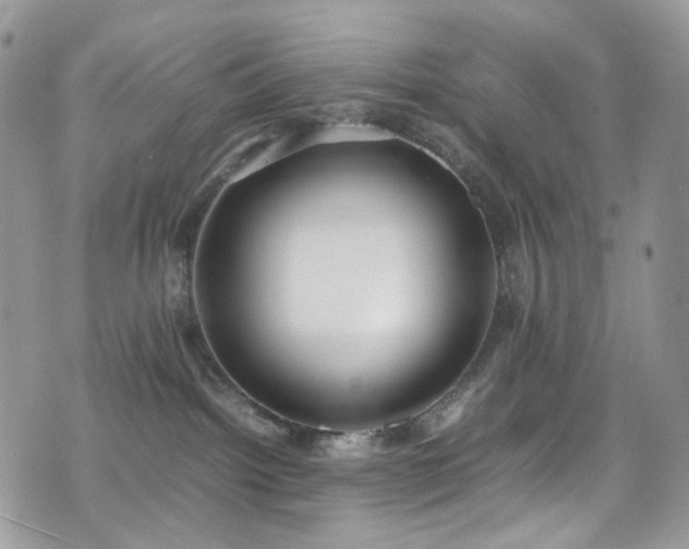 X0000070830092200606161114