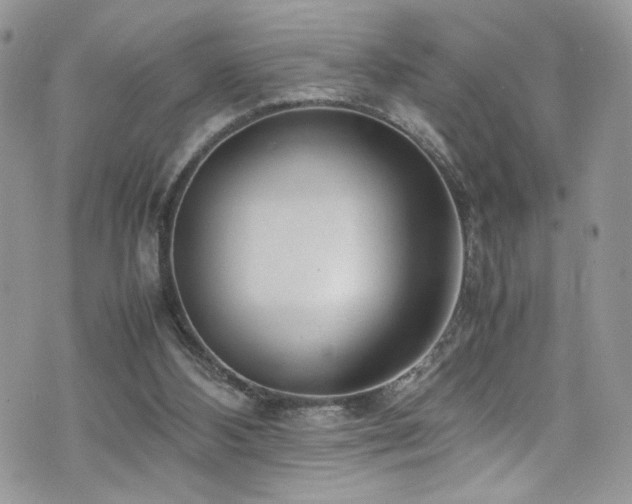 X0000070830108200606161113