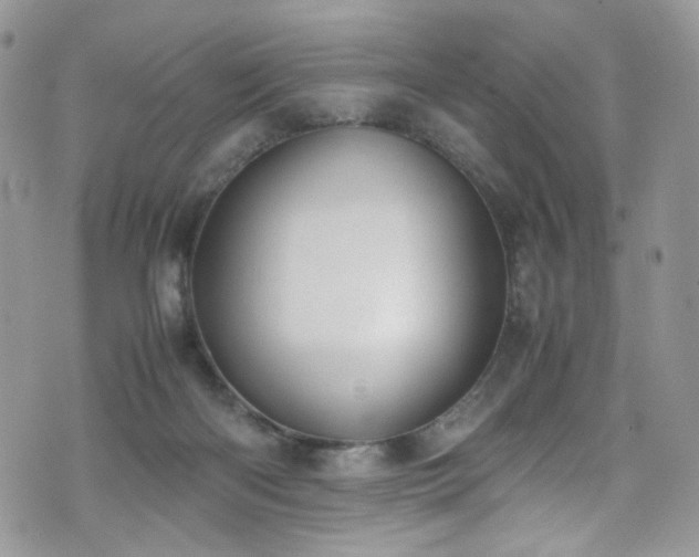 X0000070830122200606161113