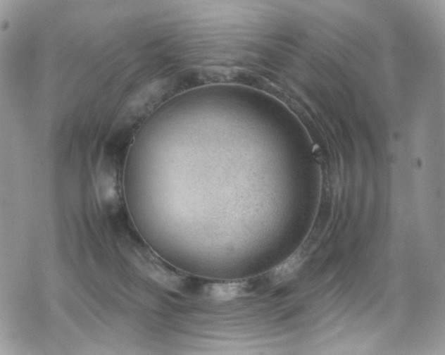 X0000070830134200606161113