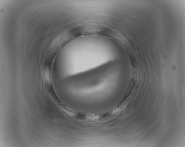 X0000070830143200606161113