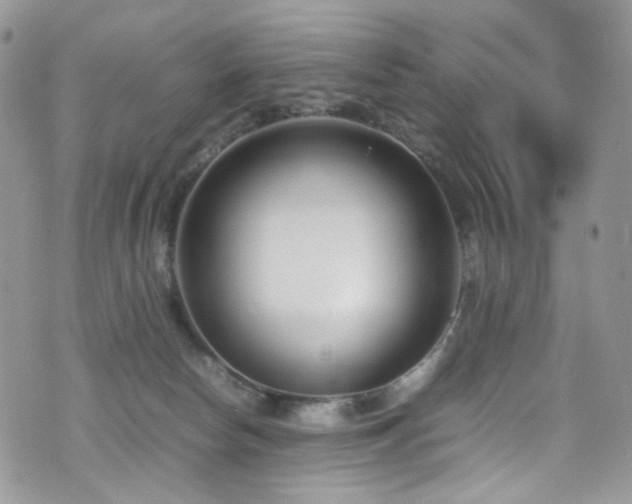 X0000070830178200606161112