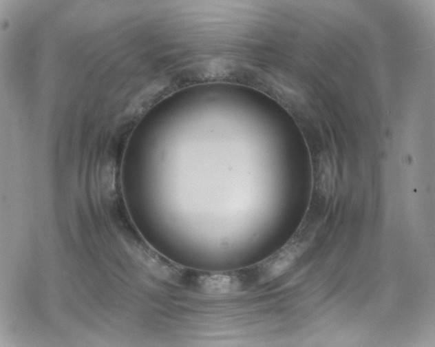 X0000070830230200606161111
