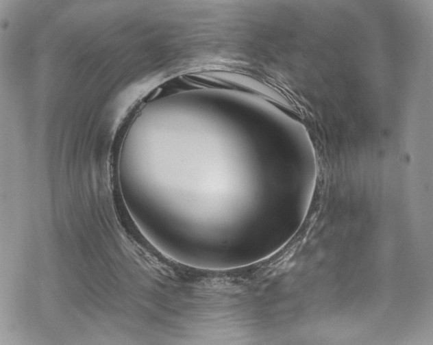 X0000070830244200606161110