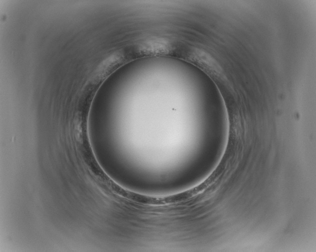 X0000070830259200606161110