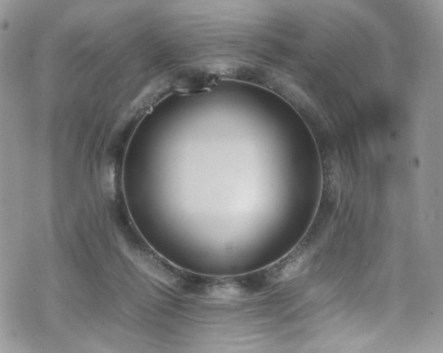 X0000070830262200606161111